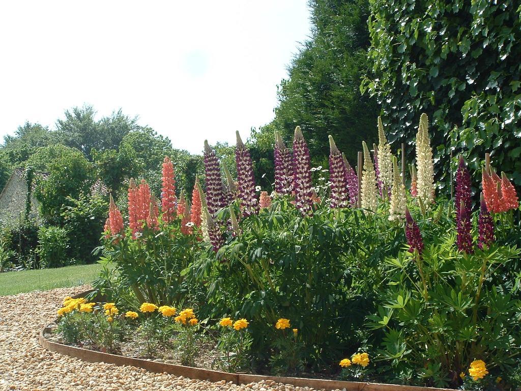 Paul'S Barn In France Bed & Breakfast Nantiat Ruang foto